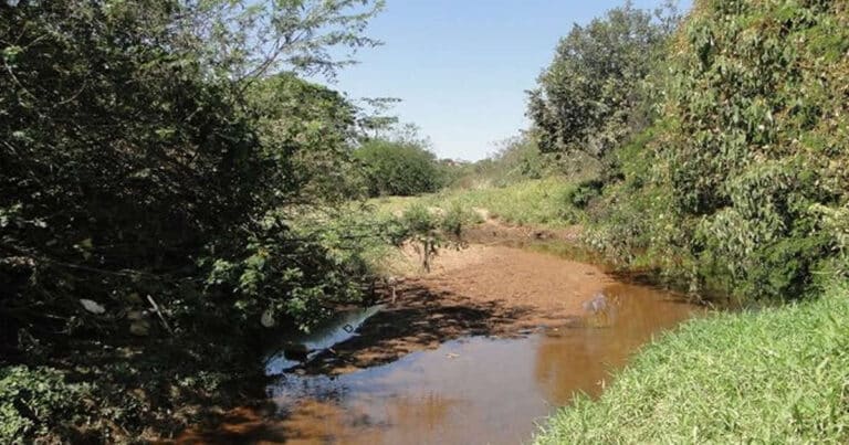 22 02 20 rio rico contaminado por arsenio