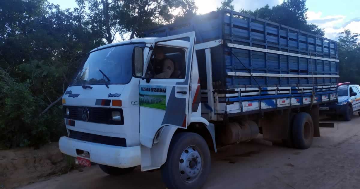 18 03 20 furto de gado em joao pinheiro