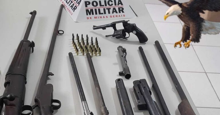 22 09 20 armas de fogo apreendidas