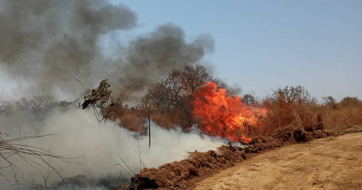 22 09 20 fogo em fazenda brasilandia de minas 2