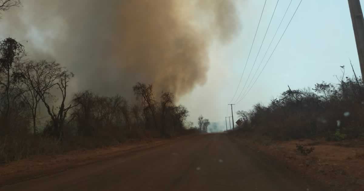22 09 20 fogo em fazenda brasilandia de minas 4