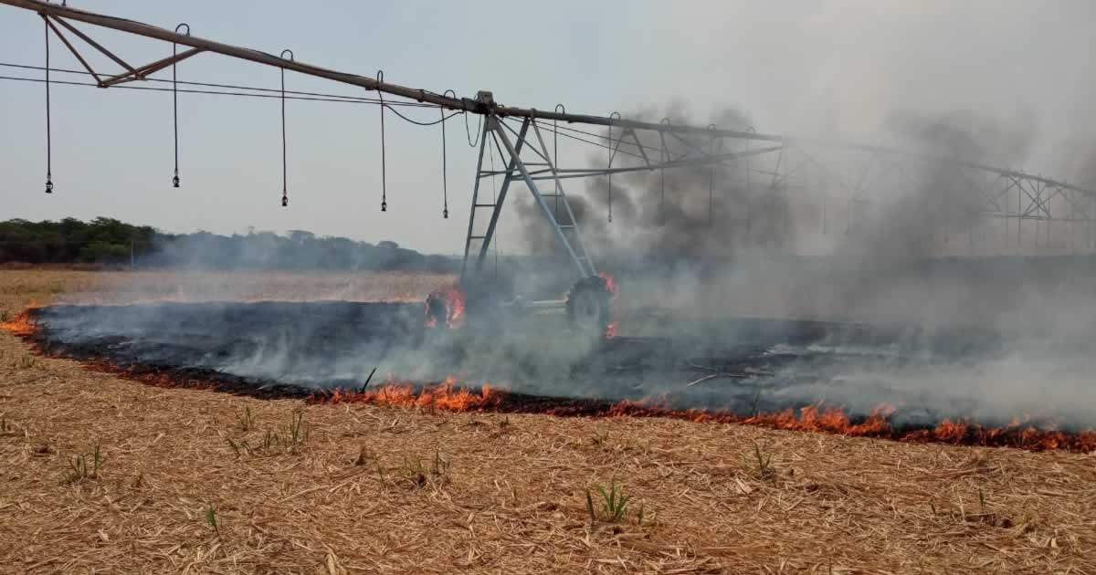 22 09 20 fogo em fazenda brasilandia de minas 5