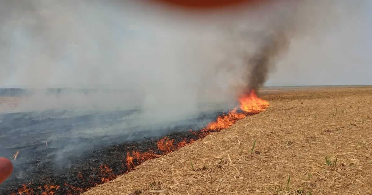 22 09 20 fogo em fazenda brasilandia de minas 6