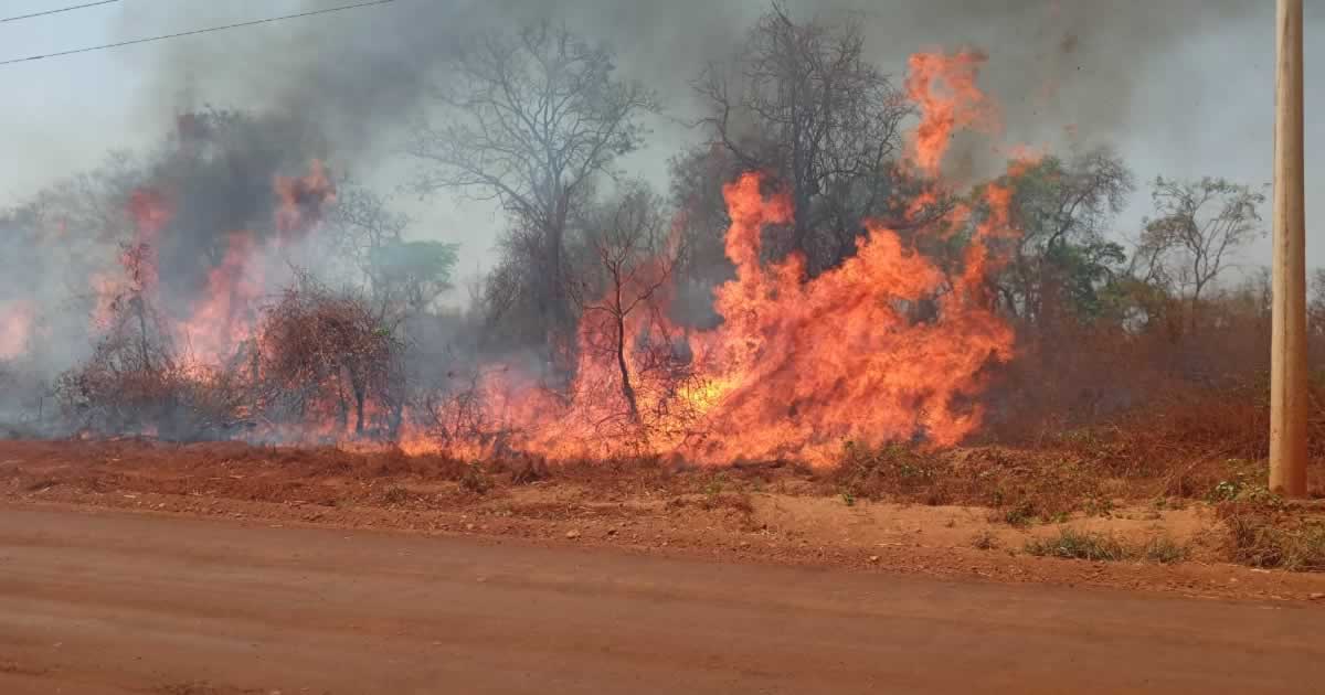 22 09 20 fogo em fazenda brasilandia de minas 8