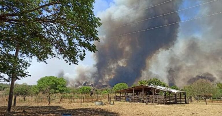 02 10 20 incendio incontrolavel na 181 1