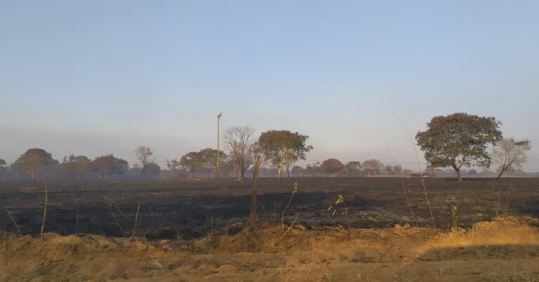 08 10 20 incendio fruta dantas
