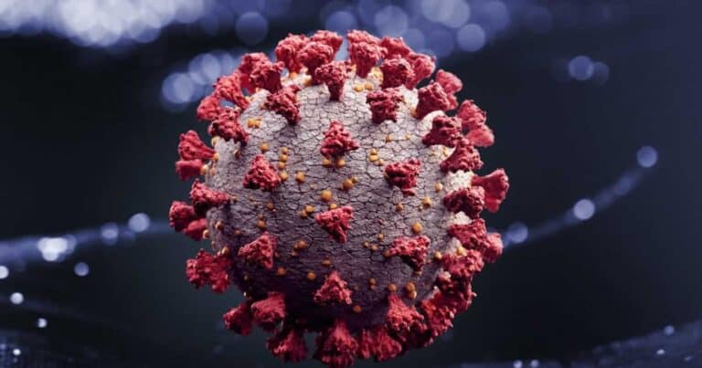 27 10 20 coronavirus em joao pinheiro