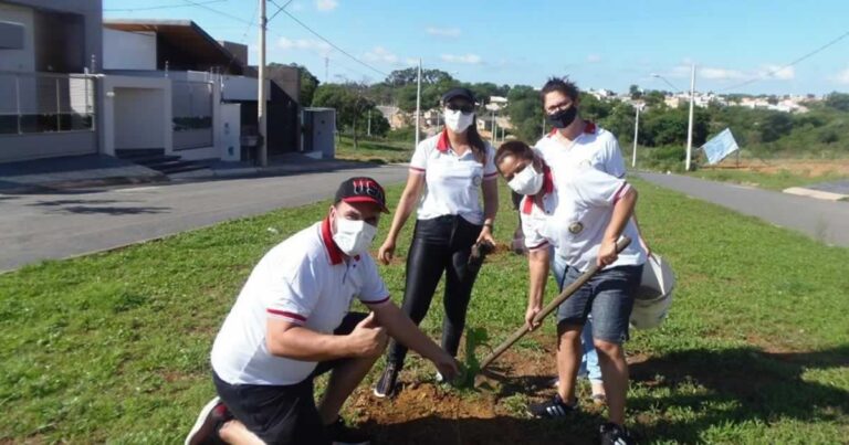 24 11 20 planta de mudas em joao pinheiro