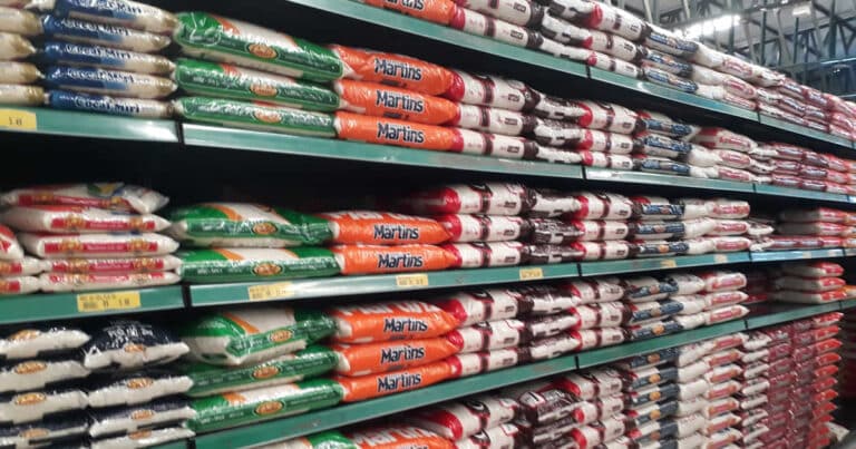 26 11 20 precos arroz baixa em 2021 capa