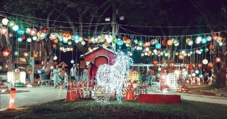 06 12 20 decoracao jp consciente natal