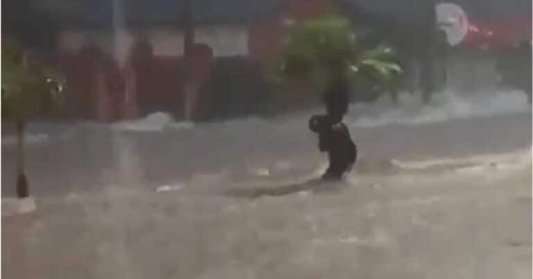 09 12 20 homem se agarra em arvore uberlandia