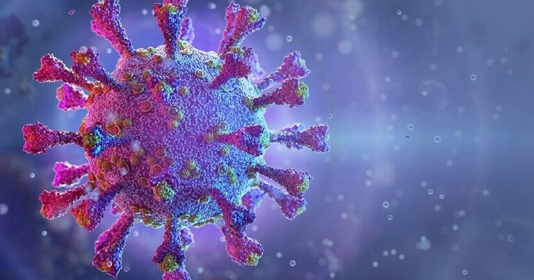 11 12 20 coronavirus em joao pinheiro