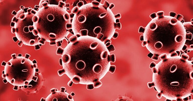 20 12 20 coronavirus em joao pinheiro