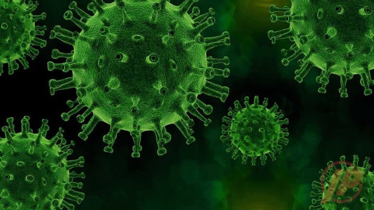 27 01 21 coronavirus em joao pinheiro