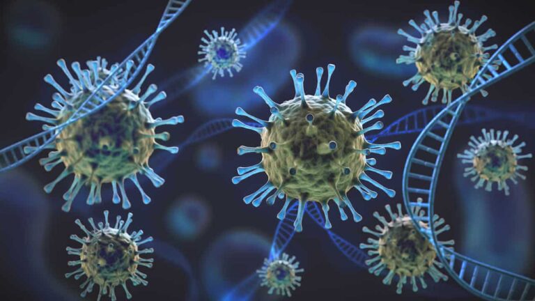 01 03 21 coronavirus boletim segunda feira