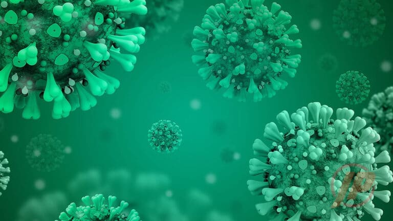 08 03 21 coronavirus em joao pinheiro