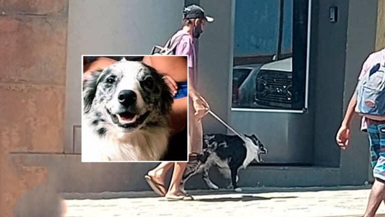 Thor sendo levado por dois andarilhos em João Pinheiro