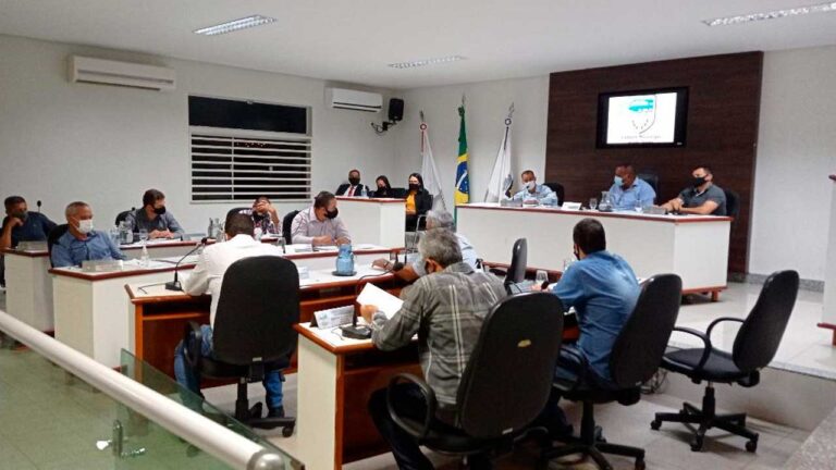 Vereadores em sessão parlamentar