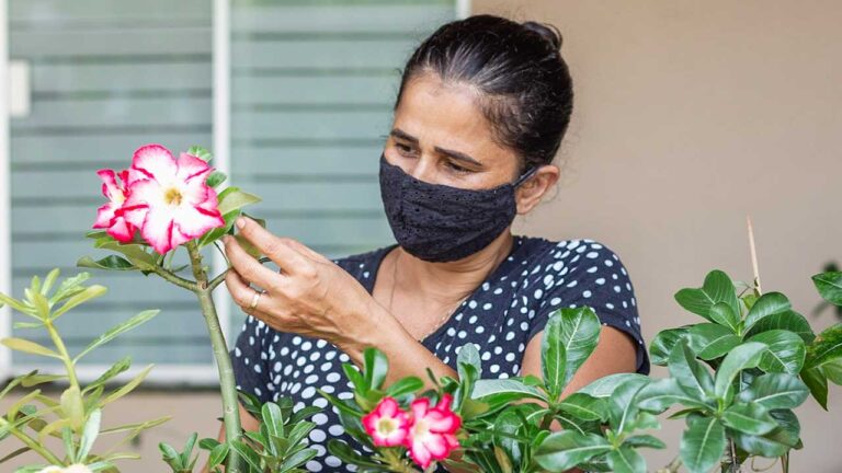 Valéria Cordeiro, proprietária do Viveiro que foi furtado