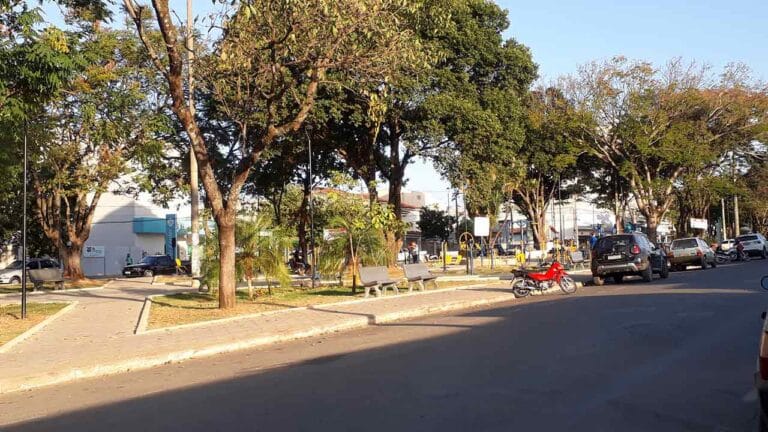 Morador cobra uso de coleiras em cachorros de grande porte depois de quase ser atacado em João Pinheiro