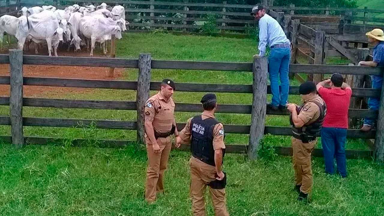 Suspeito de furtar vaca de fazenda apresenta versões contraditórias à PM em João Pinheiro