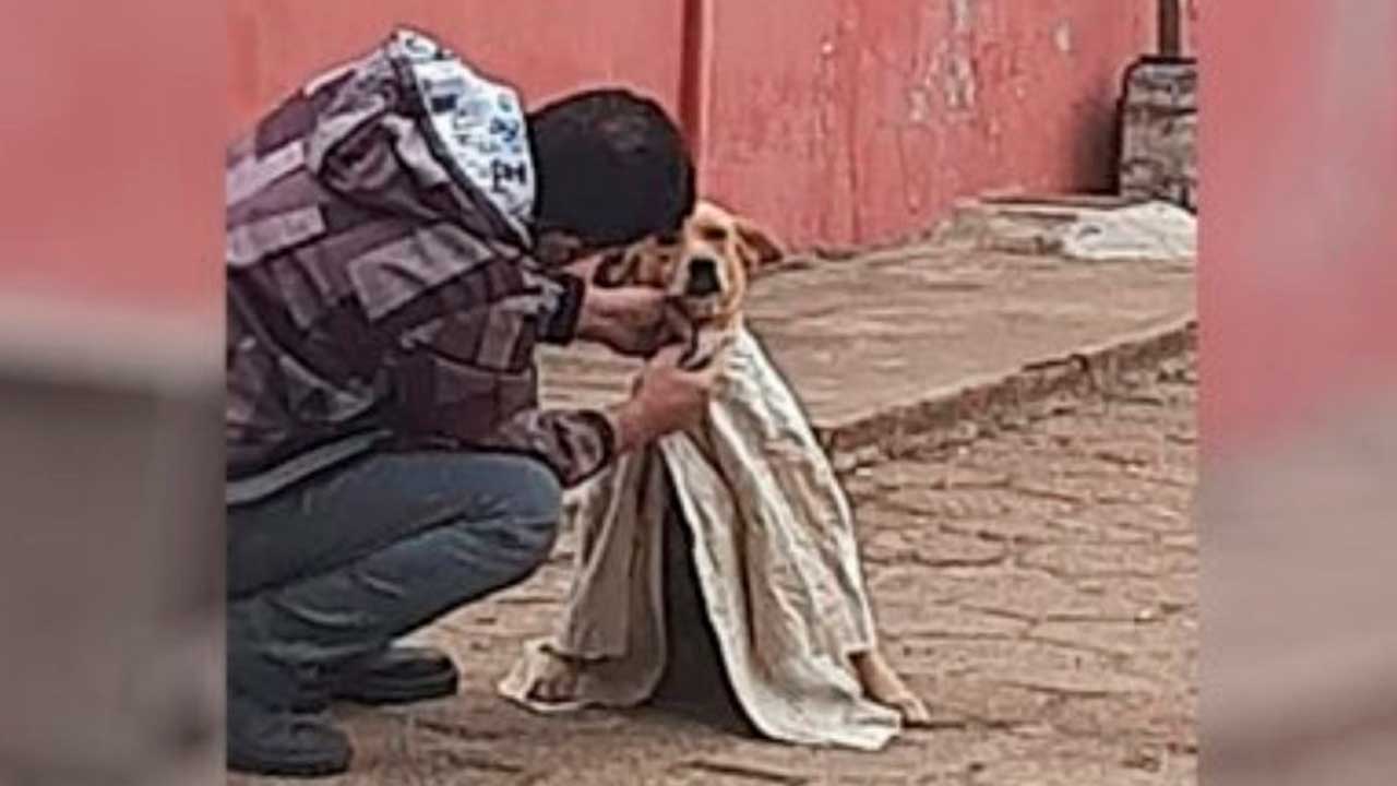 Jovem agasalha cão que tremia de frio nas ruas de Goiás e foto viraliza