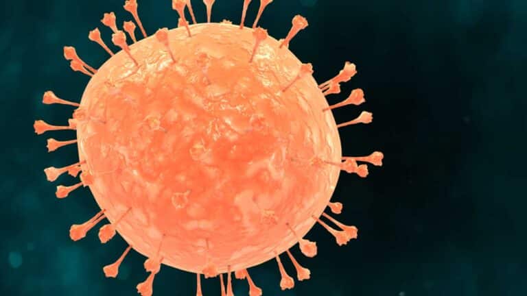 Confira a última atualização da Covid-19 em João Pinheiro no último boletim epidemiológico