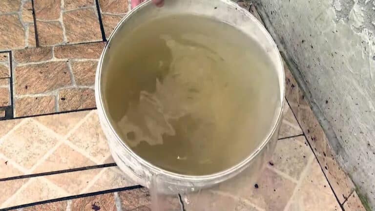 Pesquisadores identificam quase 500 problemas no serviço de abastecimento de água em mais de 30 cidades de Minas