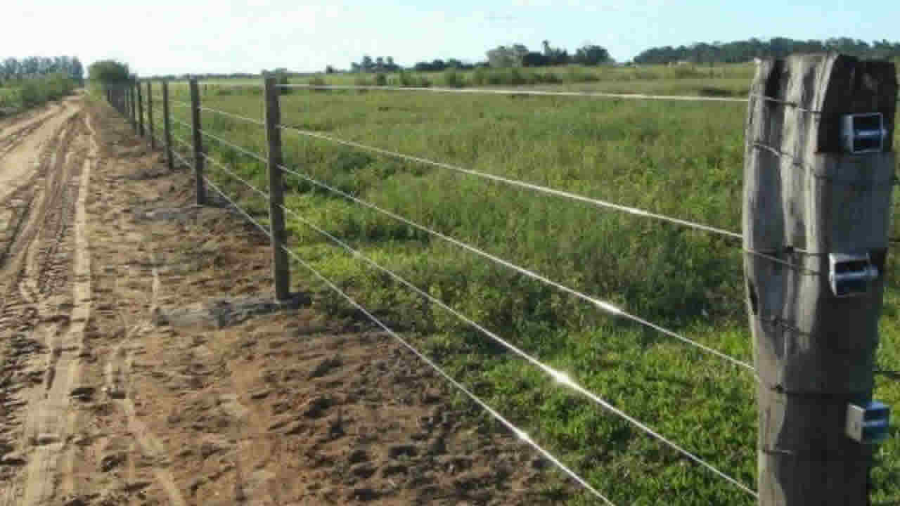 Criminosos furtam mais de 2 mil metros de cerca de fazenda da zona rural de Brasilândia de Minas