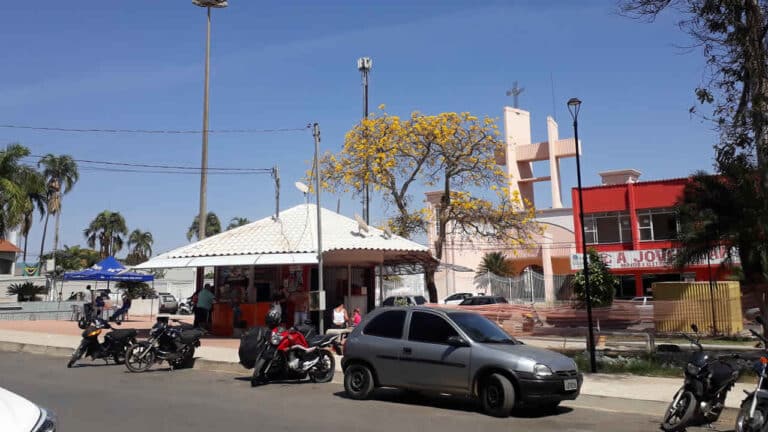 Ipês-amarelos florescem e encantam moradores de João Pinheiro; árvore pode alcançar até 15 metros