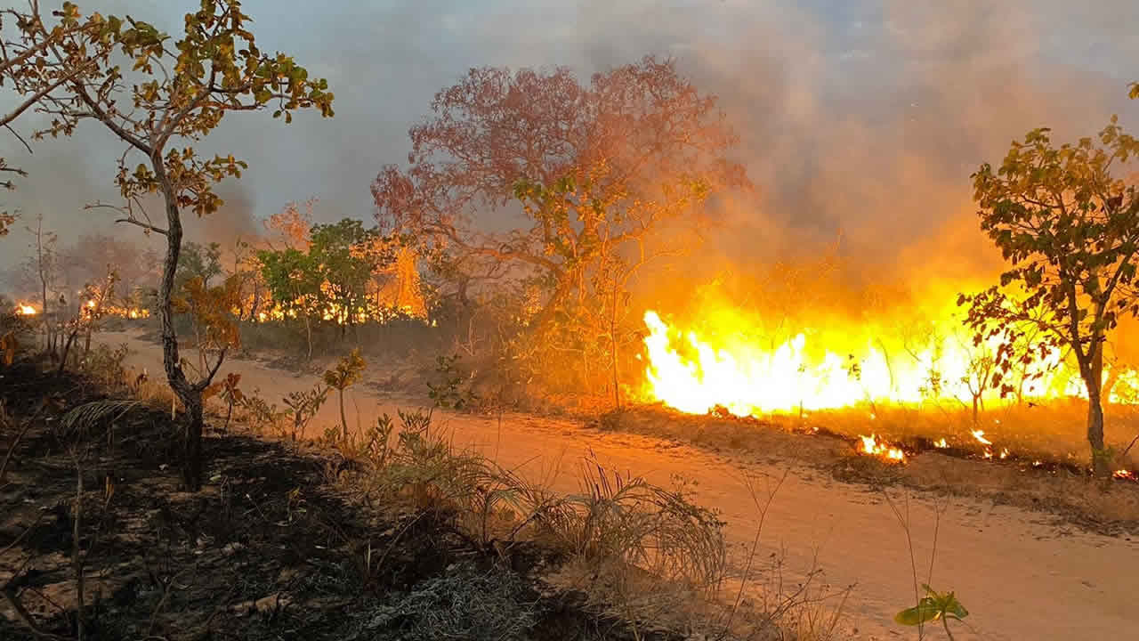 Cerca de 300 hectares de vegetação da Serra de Brasilândia de Minas foram devastados pelo fogo, diz secretário