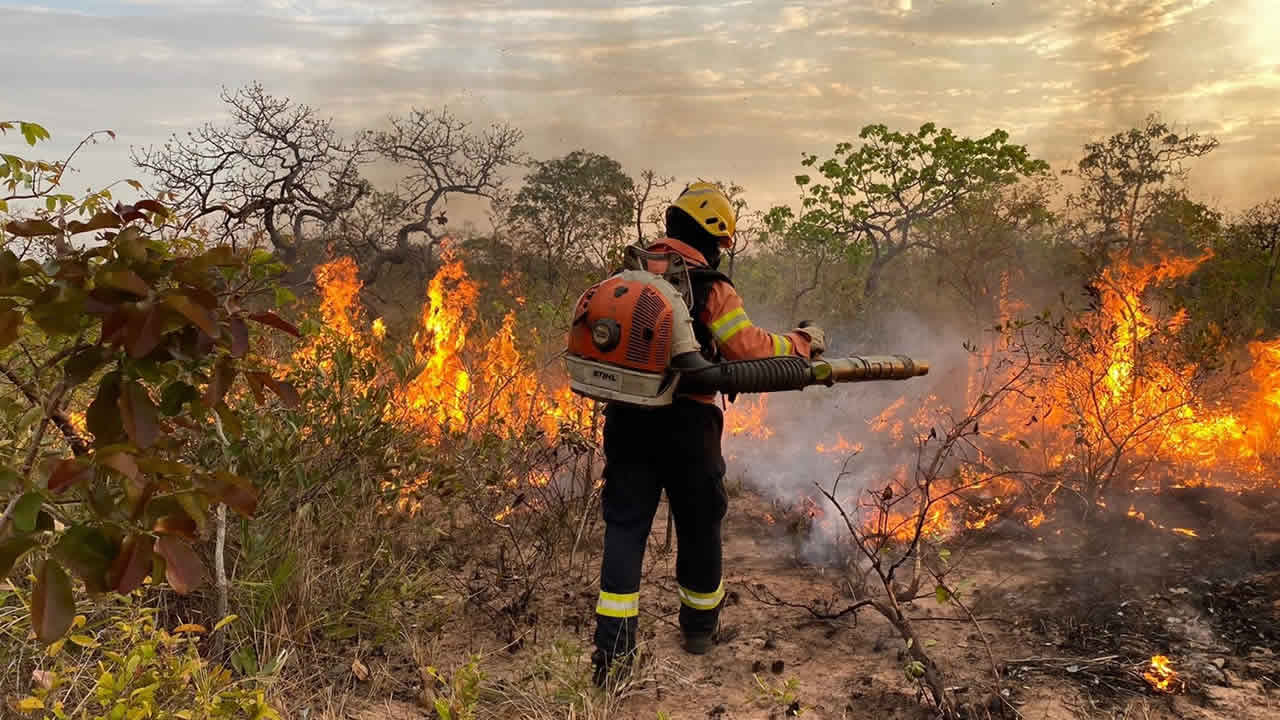 Cerca de 300 hectares de vegetação da Serra de Brasilândia de Minas foram devastados pelo fogo, diz secretário