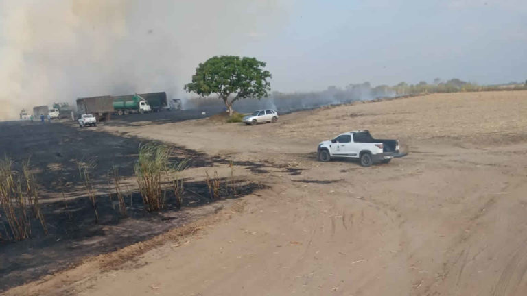 Incêndio destrói cerca 15 hectares de canavial em fazenda pertencente a usina de João Pinheiro
