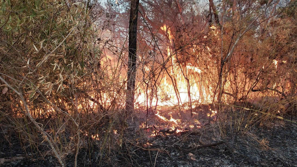 91 hectares de vegetação são destruídos em incêndio próximo ao distrito de Canabrava em João Pinheiro