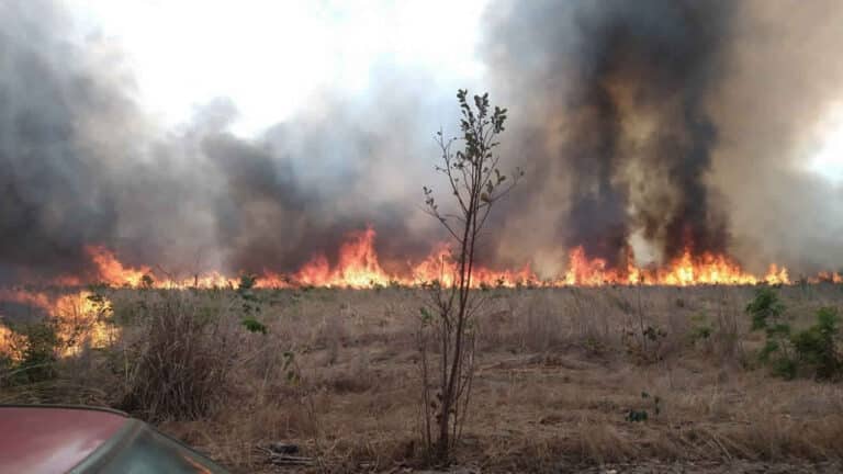 91 hectares de vegetação são destruídos em incêndio próximo ao distrito de Canabrava em João Pinheiro