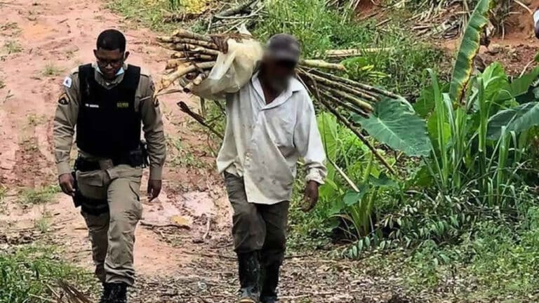 Idoso é resgatado por trabalhar de 4h às 18h, todos os dias, sem receber salário em Minas Gerais