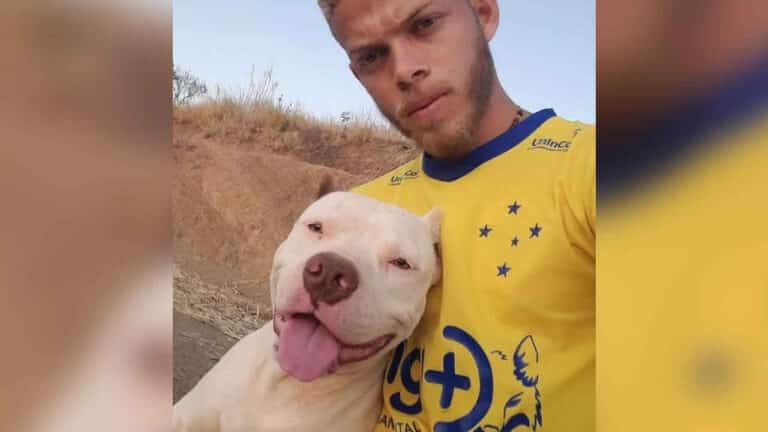 Jovem pede ajuda para encontrar pitbull que fugiu no bairro Cais em João Pinheiro