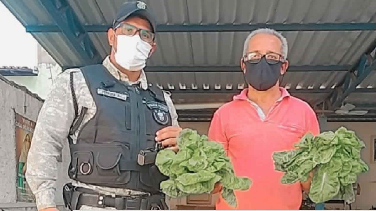 Entidades beneficentes recebem doação de verduras e hortaliças cultivadas em Presídio de João Pinheiro
