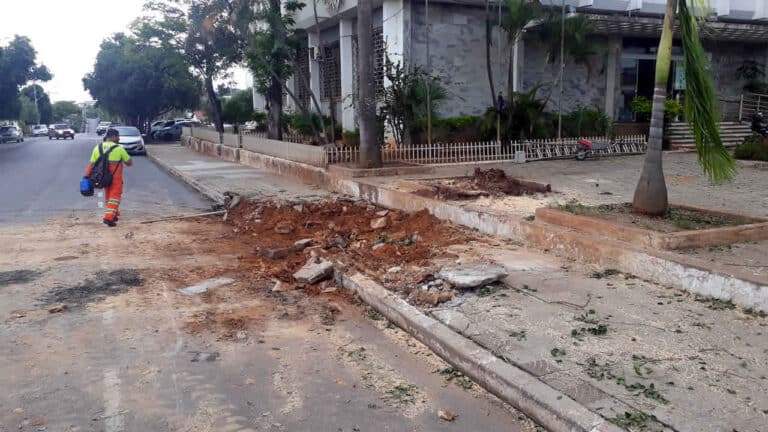 Árvore de aproximadamente 45 anos de idade é retirada da Praça da Prefeitura em João Pinheiro