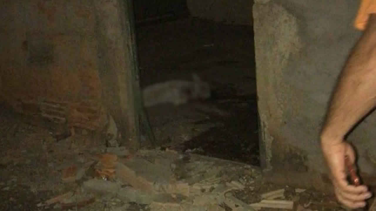 Bandidos colocam bomba artesanal em portão e explosão mata cachorro e danifica residência em Vazante