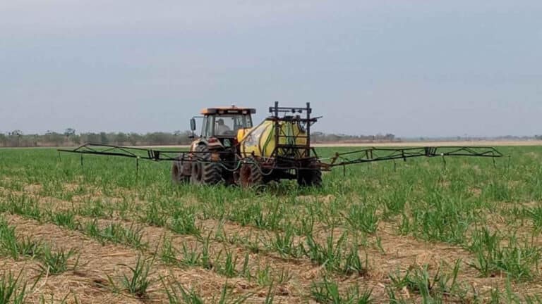 Conheça a Maré Fertilizantes, empresa parceira da ACE no evento SucroNoroeste em João Pinheiro