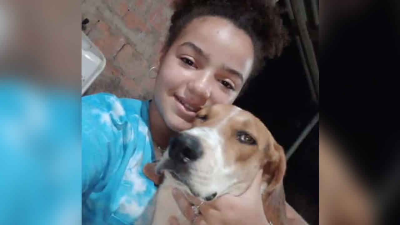 Família pede ajuda para encontrar cadela desaparecida há 2 dias, em João Pinheiro