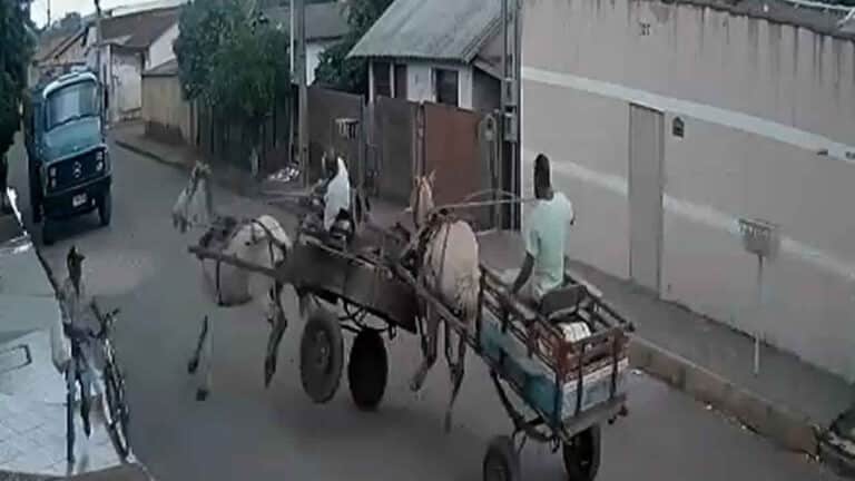 Veja o vídeo: acidente entre carroças é registrado no interior de Minas Gerais; um carroceiro ficou ferido