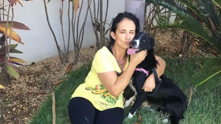 Família desesperada procura por Border Collie desaparecida há 12 dias em João Pinheiro