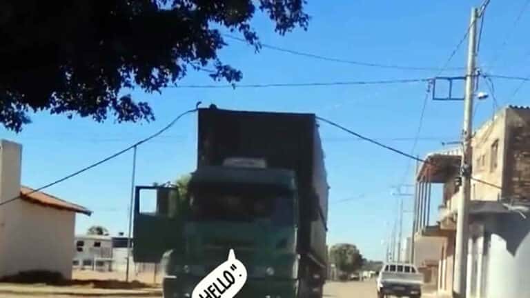 Moradores de JK reclamam de acidentes frequentes que rompem fibra óptica do distrito em João Pinheiro