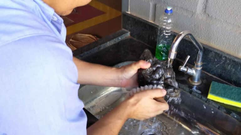 Mineiro viraliza após lavar com água e detergente suposto meteorito que caiu no Triângulo Mineiro; veja o vídeo