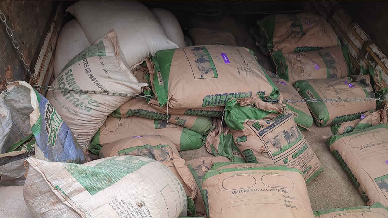 Polícia Civil recupera R$60 mil em sementes de pastagens que foram furtadas de empresa de João Pinheiro