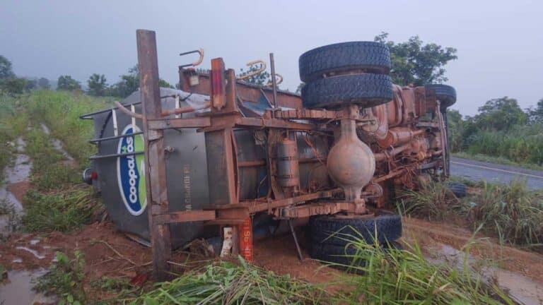 Motorista de caminhão faz manobra arriscada para desviar de cobra e causa acidente na LMG-740 em Lagoa Grande