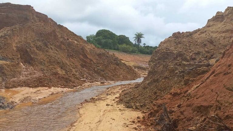 Chuva forte rompe duas barragens na zona rural de João Pinheiro; vários animais morreram nos incidentes