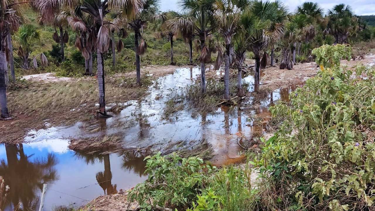 Chuva forte rompe duas barragens na zona rural de João Pinheiro; vários animais morreram nos incidentes